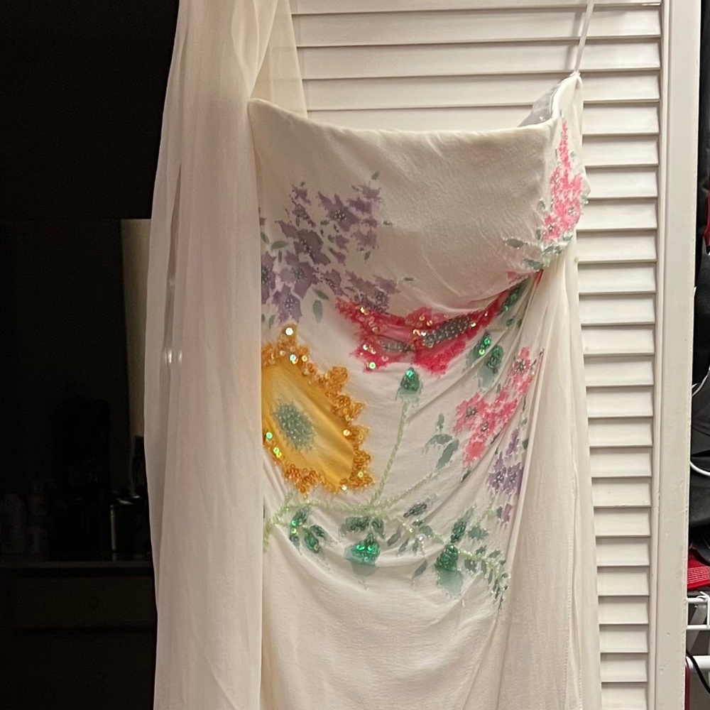 Cache chiffon dress